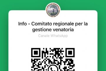 Canale informativo WhatsApp